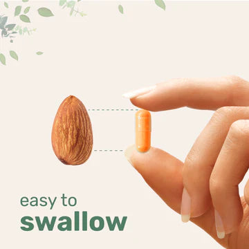Turmeric Supplement